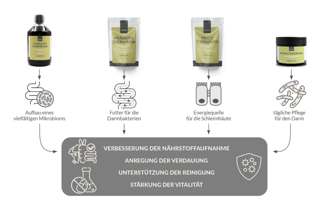 Die Probiotika-Darmkur aus der Therapura-Linie Schaubild zur Probiotika-Darmkur aus der Therapura-Linie von PROVICELL