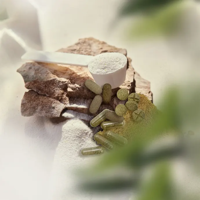 Proben von oben Proben von oben