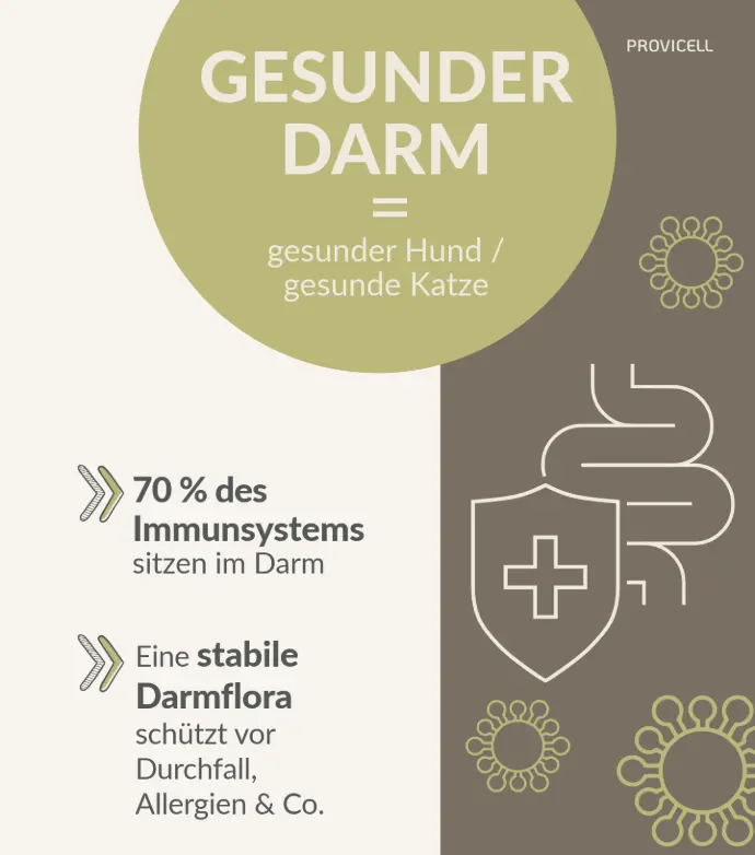 Gesunder Darm, gesundes Tier Gesunder Darm gesundes Tier