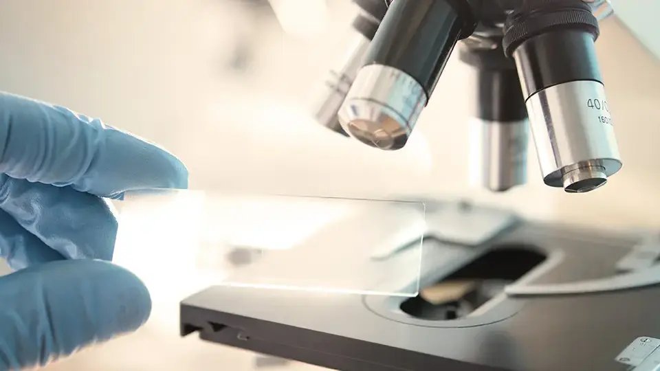 Fachwebinar: In Kooperation mit Vetscreen: Laborbefunde vergleichen und verstehen