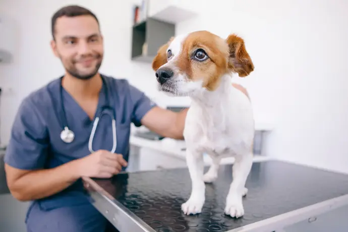 Therapeutenschulung Therapura-Linie