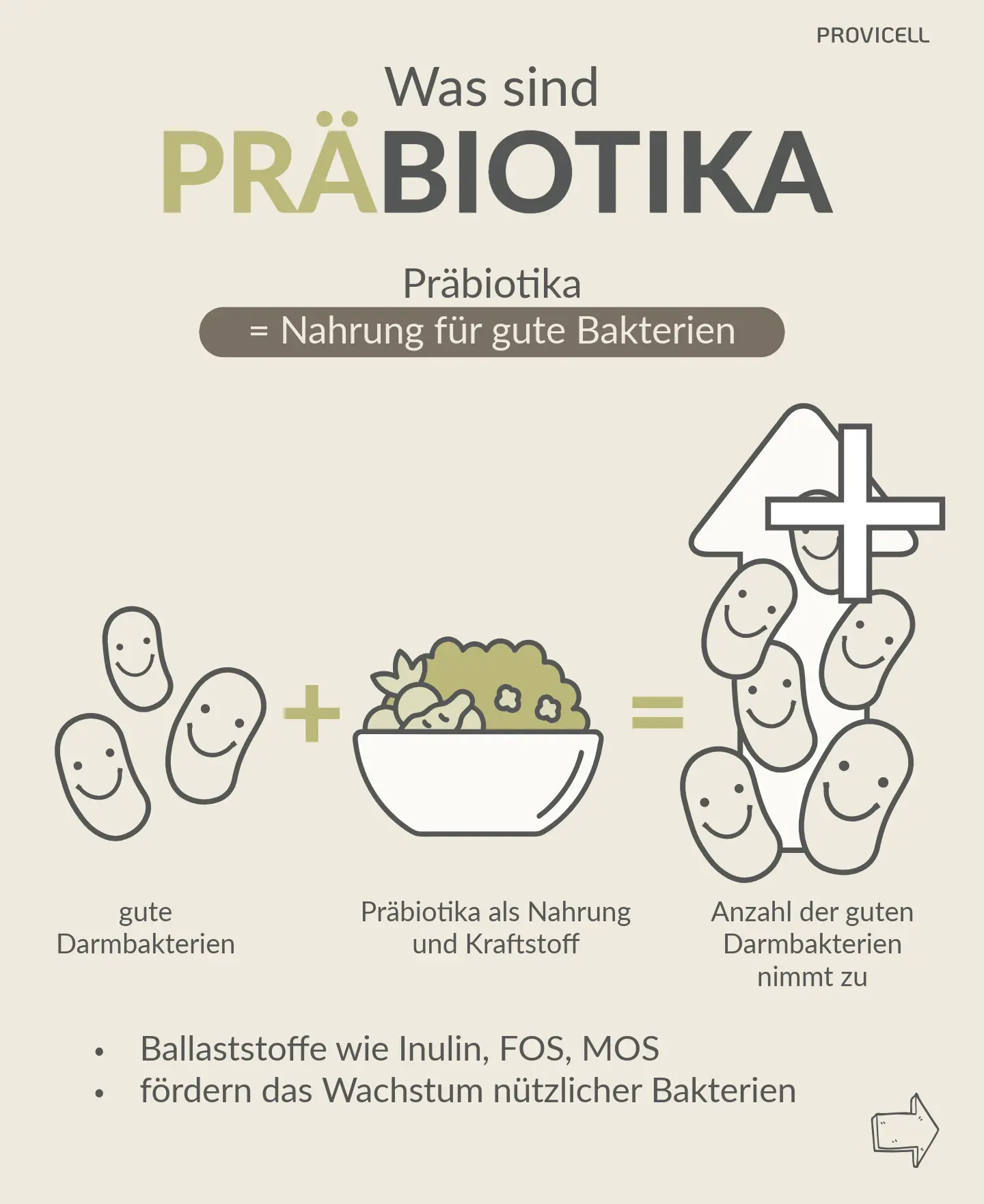 Präbiotika Präbiotika