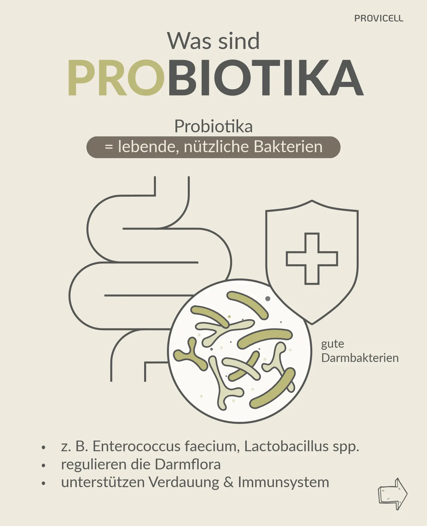 Probiotika Probiotika