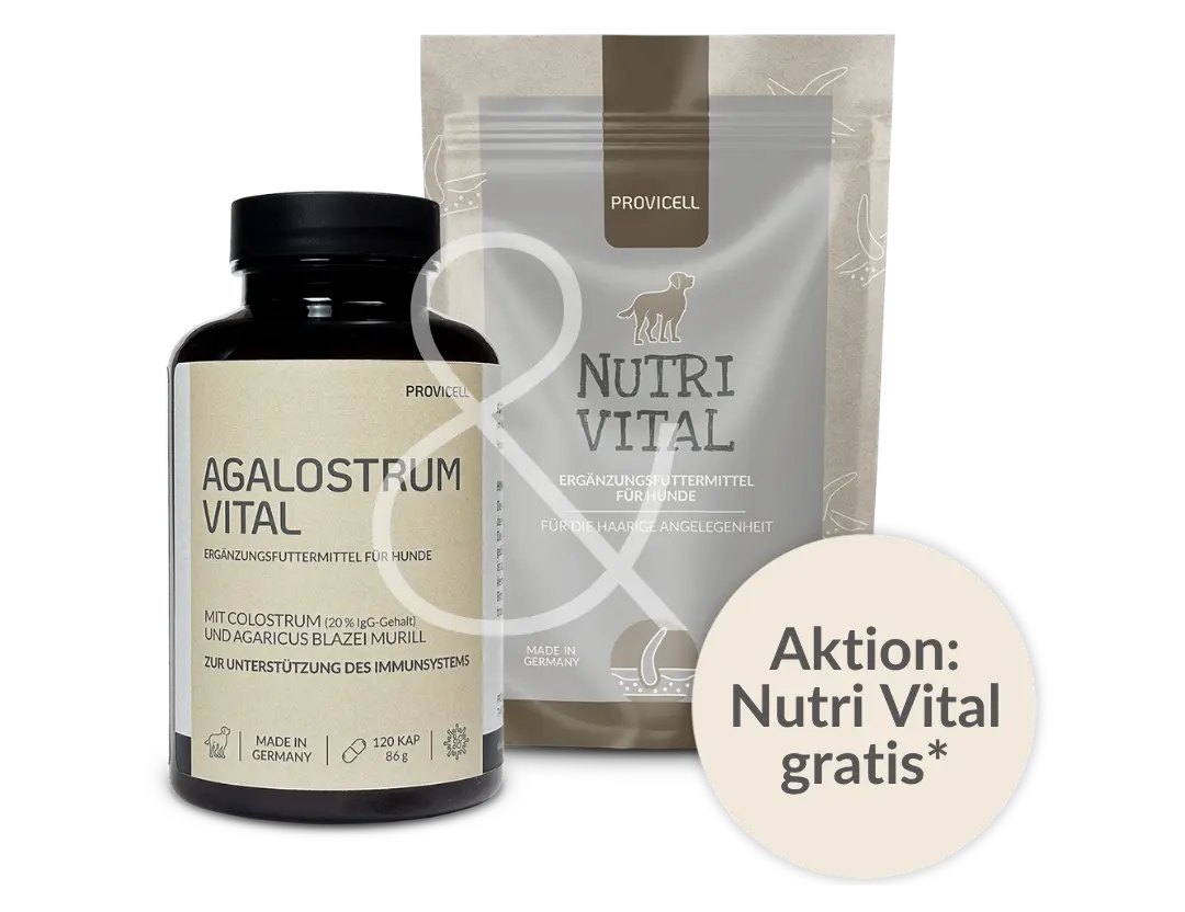 Aktionsangebot: Nutri Vital gratis
