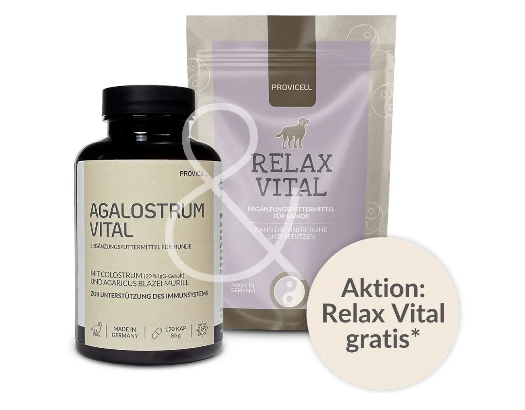 Aktionsangebot: Relax Vital gratis