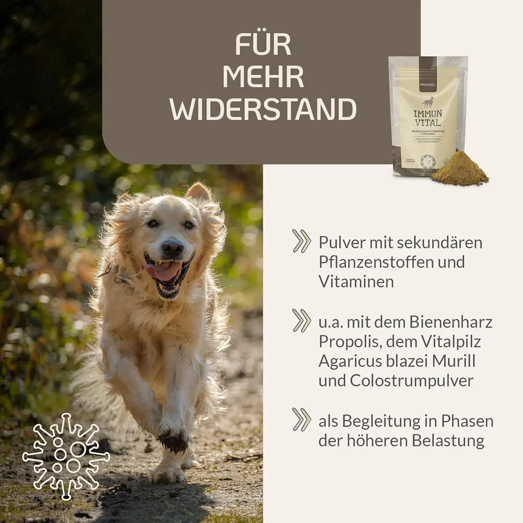 PROVICELL_Vital-Paket_1_3.webp
