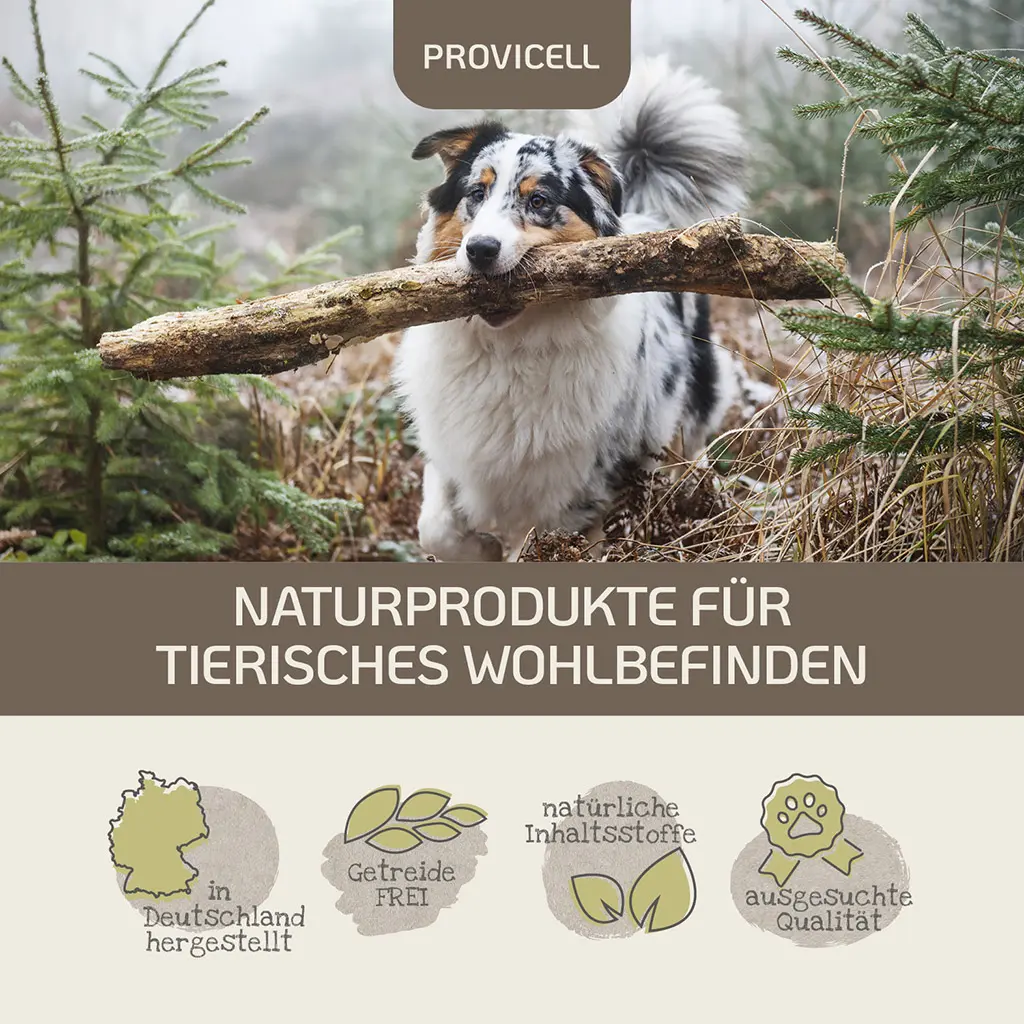 PROVICELL_Vital-Paket_1_6.webp