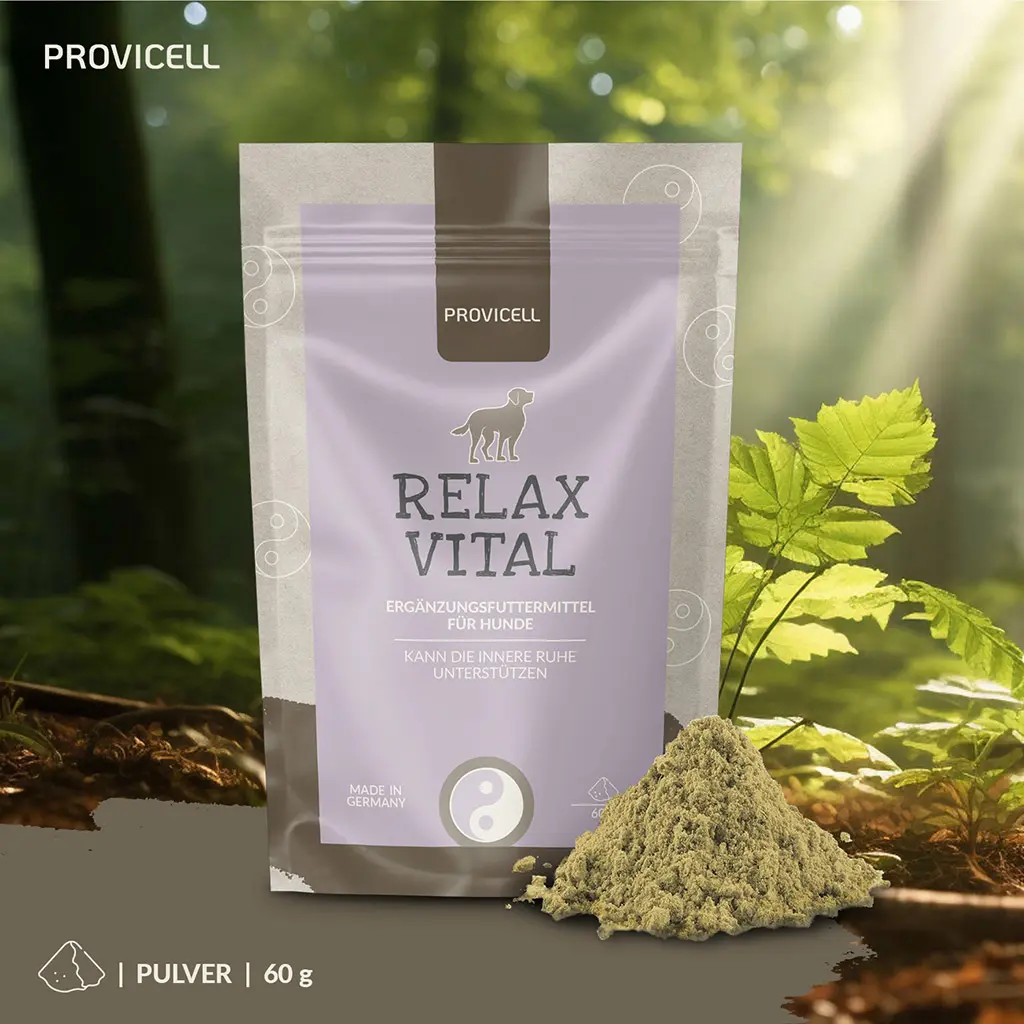 PROVICELL_Relax-Vital_6.webp